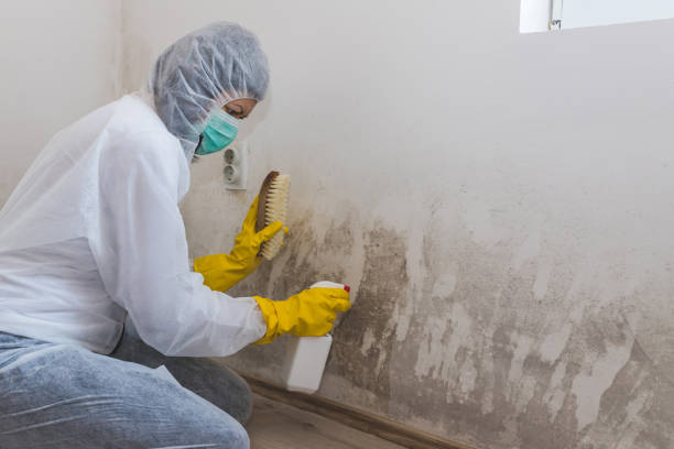 Mold Removal for HVAC Installations in Middleburg Heights, OH